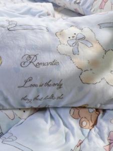 Attractive Cat Pattern Milk Velvet Coral Velvet Pillowcase Single Pack Childrens Pillowcase New Style 48cmx74cm Bedding Covers