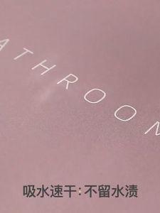 SG Home Anti Slip Soft Mat Diatomite Mat Absorbent Mat Floor Mat Bath Mat Kitchen Mat Quick Dry