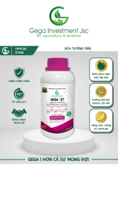 Phân Bón Sửa Tướng Trái Tròn Đều Chống Méo Trái Vàng Đáy Trái GEGA-ST Chuyên Dùng Cho Sầu Riêng
