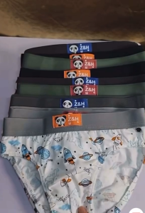 【BOYS】Good fabric Baby boy Printed Brief For Kids 12 PCS 6pcs Floral Cotton underwear Cute and sweet