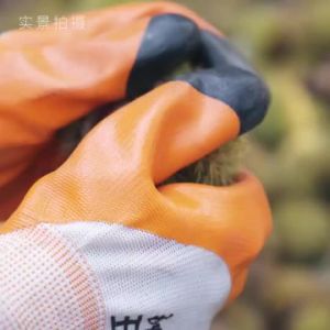 135g/3bag Chestnut Roasted Castanas Nuts Buy 1 Take 1 Roasted Chestnut Ready to Eat Snack