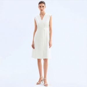 AMII | Simple Elegant Office Commuter V-Neck Satin Dress