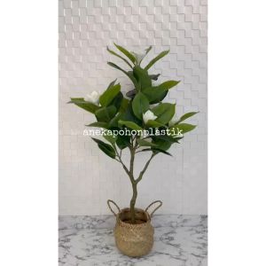 Pohon Hias Artificial Tanaman Magnolia Latex Cover Purun Belly Dekorasi Ruangan Rumah Cafe Aesthetic