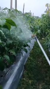 BOMA PUPUK ORGANIK CAIR ANTI HAMA PENGUSIR & PEMBASMI HAMA TIKUS ULAT SERANGGA BURUNG PADI KEONG WERENG + ZPT BOOSTER PERTUMBUHAN BUKAN MAHKOTA