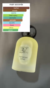 BaryVary Farenhigh Perfume EDP Men Lasting Fragrance Minyak Wangi Lelaki Tahan Lama 10ml 30ml 50ml