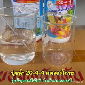 ปุ๋ยน้ำ 20-4-4 ปุ๋ย สตรองโกร ปุ๋ยทางใบ บำรุงต้น ใบหนาใหญ่ ใบเขียวสวย แตกกอดี ต้นแข็งแรง ฟื้นต้นไว ต้นสมบูรณ์