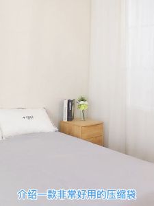 Travel Vacuum Pump: A Comprehensive Guide