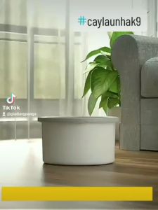 Bộ lau nhà thông minh K9 - Thùng vắt xoay tròn nhựa PP + Miếng lau Microfiber