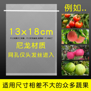 Fly Net Voile Vegetable Preserved Meat Fruit Bag Banana Papa Orange Guava Citrus Special Bag Handy Gadget Bird-Proof