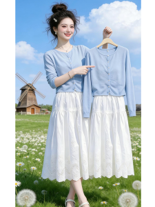 Shalldoer | Womens Summer Korean Style Single Button Knit Cardigan and Skirt Set