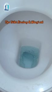 Dahlia Blue Clean Tablet Biru Pembersih Kloset Toilet Anti Kerak & Jamur isi 3kamar Merek Dahlia Multipack Pengiriman Ekonomi Dan Ekspres - Lazada