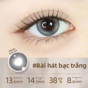 inyx | Mắt Kính Kontakt Đẹp cho Người Á và Hỗn Hợp Da Mắt Tối 2 cái Dùng được 6 Tháng