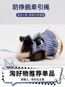Anti-Breaking Rope & Adjustable Totoro Clothes: A Guide to Small Animal Walking Skirts