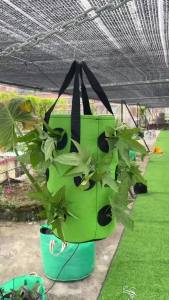Multi-Function Hanging Strawberry Grow Bag Upside Down Planter Tomato Potato Vegetable Flower Plant Grow Bags Garden Decoration
