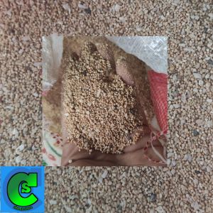 pasir bali aquascape aquarium 1kg 5kg 10kg / pasir bali aquarium / pasir laut bali / pasir bali aquascape / pasir bali
