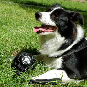 Durable Leather Football Toy with Rope for Dog Training Chew Resistant Pet Toy Suitable for German Shepherd Rottweiler Golden Retriever Corgi