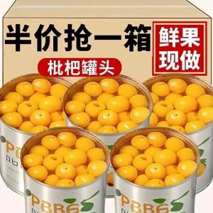 Fresh Preserved Loquat Snack