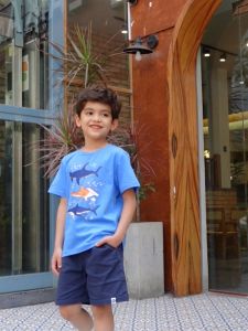 Áo phông cộc tay bé trai Bigfox Miss Meow size đại áo thun cho bé phong cách Hàn Quốc in Cá Mập cỡ 3-11 tuổi 30kg 40kg