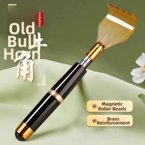 Extendable Back Scratcher