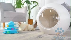 Silent Noise Pet Cat Hair Blowing Dryer Machine Intelligent Temperature Control Dog Cat Pet Room Dryer Box