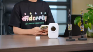 Aiyin D30 Pro 0.5" Portable Wireless Label Printer