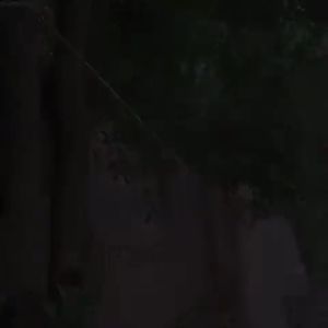 Tali Jemuran Nylon 10 Meter / Tali Jemuran Pakaian / Tali Tambang Anti Slip Super Kuat Serbaguna