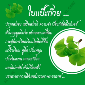 Ginkgo Biloba จิงโกะ ใบแปะก๊วย (สูตรสกัด) ขาวละออ 40 เม็ด ของแท้100%