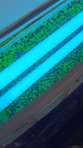 Akita J12 Big Lamp Killing Light