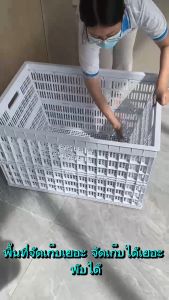 ตะกร้าพลาสติกเก็บของอเนกประสงค์ จัดระเบียบ เก็บของจุได้เยอะ สำหรับโรงงาน เพิ่มใหญ่ตะกร้าด้วยการเก็บของพับเก็บได้มีที่จับ รุ่นประสบการณ์ 12 ปริมาณ 10 kg