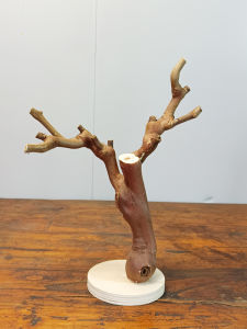 Đồ Trang Trí Bằng Gỗ Nguyên Khối Tự Nhiên Có Chân Đế Đồ Trang Trí Bàn Trà Phòng Khách Đồ Trang Trí Treo Tường Bằng Gỗ Tay Làm Thủ Công