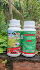 [Freeship Max] CỨNG NHƯ TRE chống đổ ngã mập cọng lùn thân chuyên lúa nếp chai 500ml_VTNN TRUNG THIEN THINH