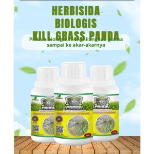 Kill Grass Panda Raja Pembunuh Hama Gulma | Membasmi Lebih Dari 100 Jenis Hama dan Gulma Membandel