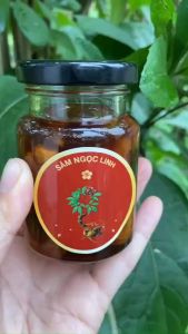 Sâm ngâm mật lọ 100 ml