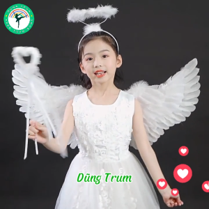 Cánh thiên thần hóa trang thiên thần cỡ nhỏ cho bé