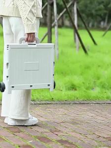 Portable Shopping Cart Luggage Trolley Household Foldable Shopping Cart Supermarket Trolley Outdoor Climbing Lever Car