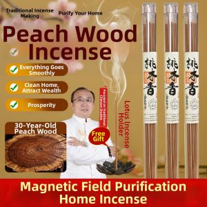 FENGSHUIGE | Natural Peach Wood Scented Incense Plugs