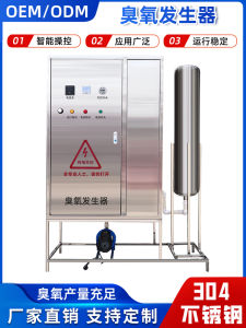 High Concentration Large Industrial Food Aquaculture 100g Ozone Generator Air Water Treatment Disinfection Machine Odor Removal