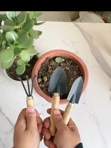 Set ng mga kasangkapang pananim ng mga panloob na halaman pala asarol at maliit na pala.