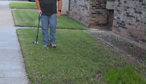JCHealth Aluminum Quad Cane Wide Base for Superior Stability & Comfort for Seniors 5 Colour