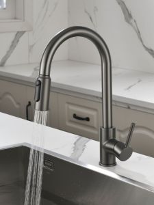 BANGPU | All-copper 3-in-1 Rotatable Tap with Purified Water Pull-out