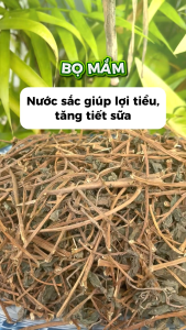 [Hàng mới về] Cây bọ mắm sấy khô 500g  - Tấn Phát