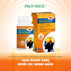 Thực phẩm bảo vệ sức khoẻ Viên uống Bổ Não Ginkgo Biloba Provibiol Heads Up Tăng Tuần Hoàn Máu Não Hộp 60v