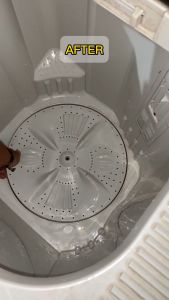Delcio Pembersih Mesin Cuci Washing Machine Cleaner 500 gram & 1 kg