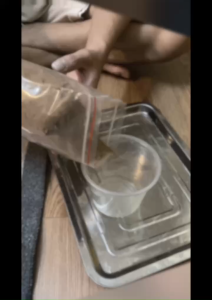 Đất kết dính tạo tường  Rêu Terrarium tiểu cảnh bán cạn