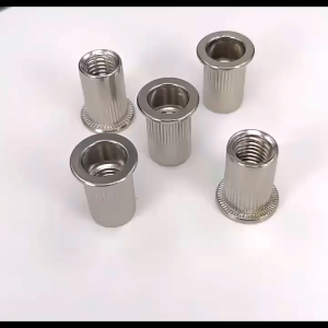 Combo 5-10 tán ecu rút INOX 304 size M3 M4 M5 M6 M8 M10 không gỉ