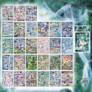 Yuxian | Nhãn Dán Scrapbooking Phong Cách Hàn Quốc Đẹp