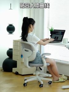 Ergonomic Study Elevating Office Desk Computer Chair Office Chair/Study Chair/Working Chair/Chair