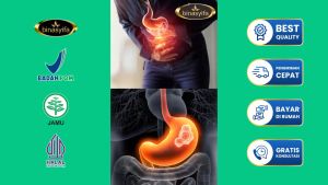 Obat Asam Lambung SyifaMaag Binasyifa Herbal BPOM
