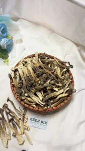 Nấm Lộc Nhung - Bách Gia - Nguyên cây to dài dai giòn