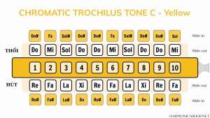 Kèn Harmonica Trochilus Chromatic 10 lỗ cao cấp
